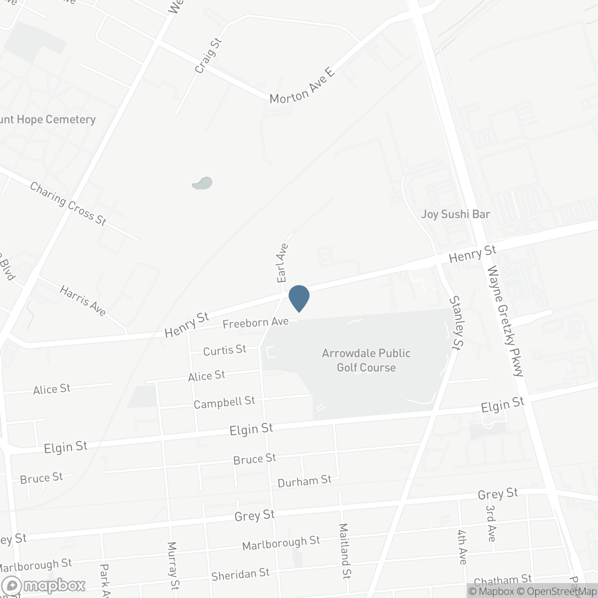 120 HENRY Street, Brantford, Ontario N3S 5C7